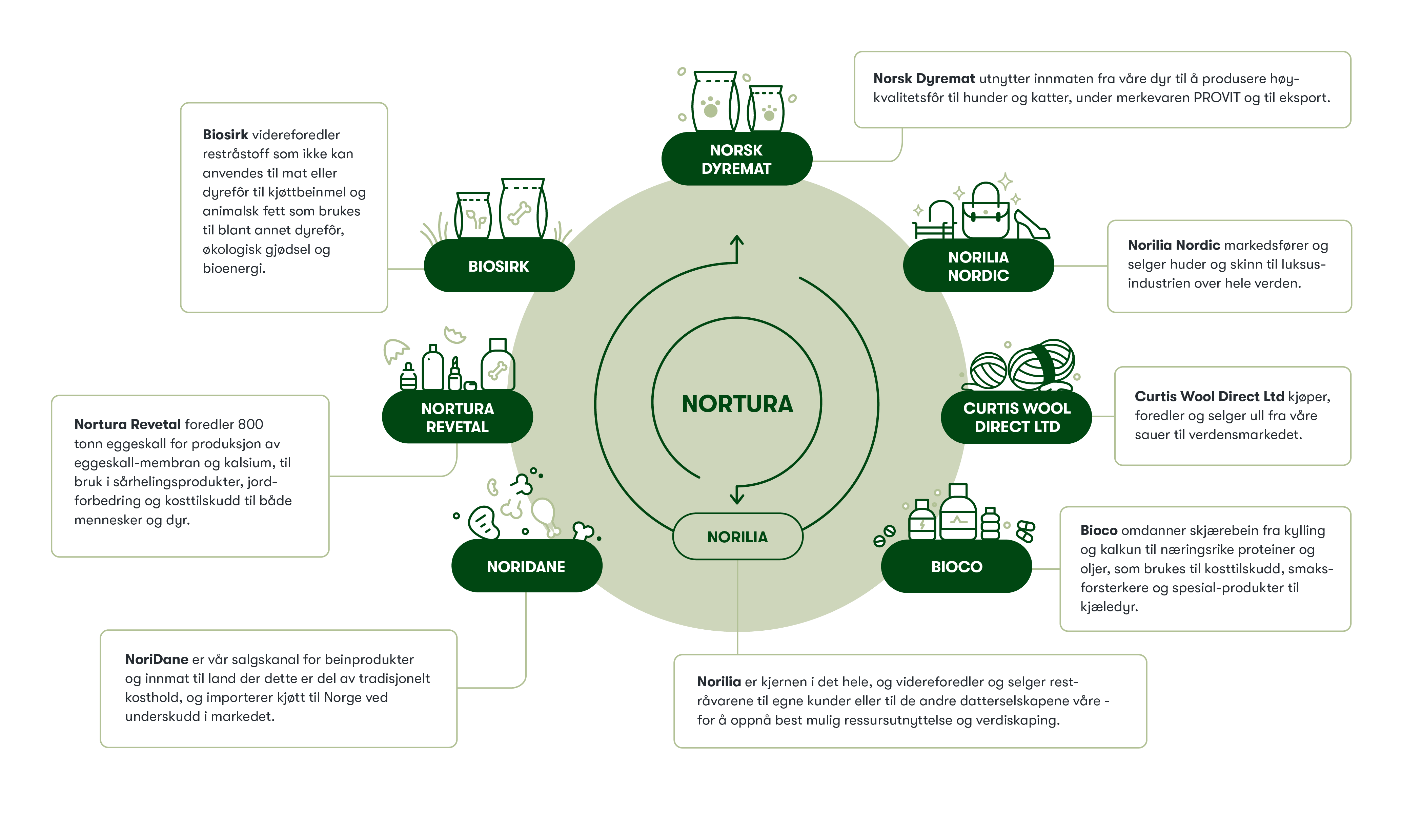 Slik fungerer økosystemet som foredler og utnytter plussproduktene fra Norturas kjøtt- og egg-virksomhet: